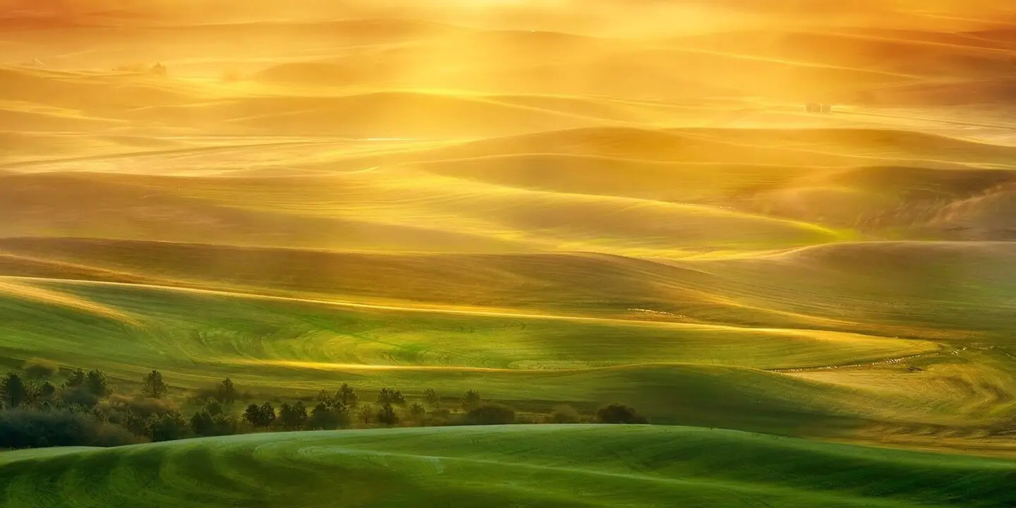 Jak si přitáhnout peníze krajina zalitá sluncem