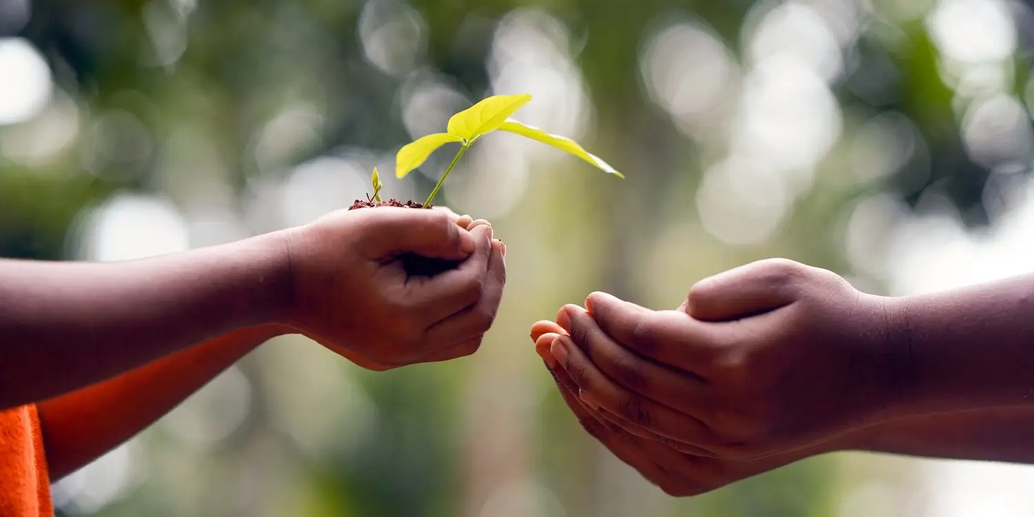 Jak si přitáhnout peníze ruce dávání