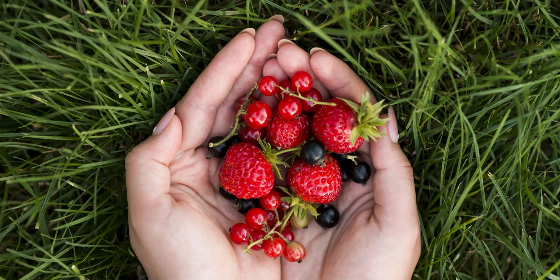Jak si přitáhnout peníze ruka s ovocem