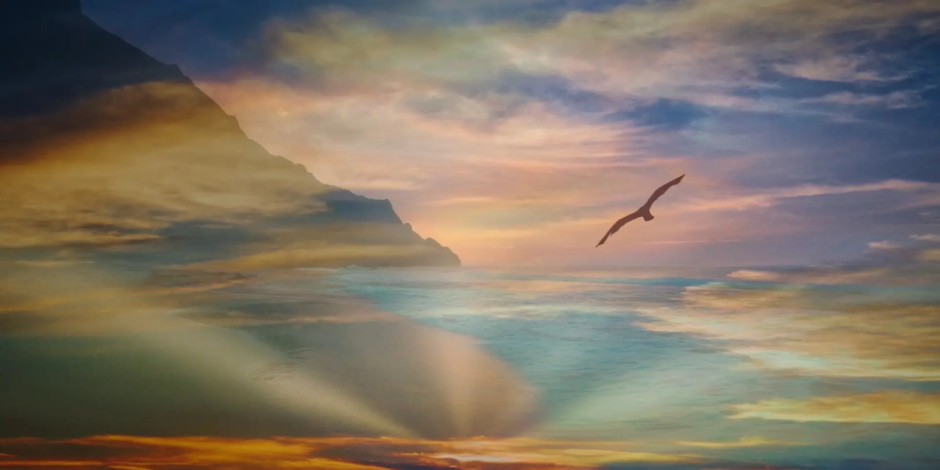 Láska k sobě a životu pták nad mořem