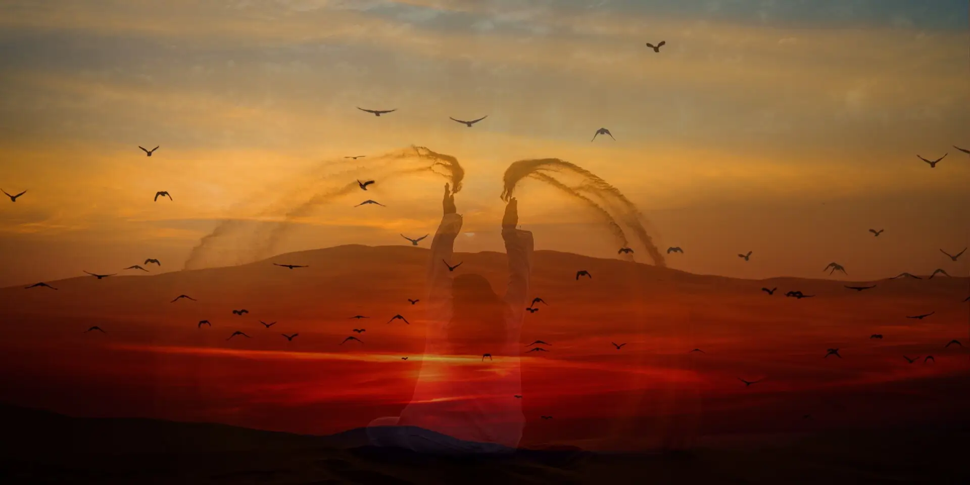 Proměňte svá přesvědčení radost obloha ptáci