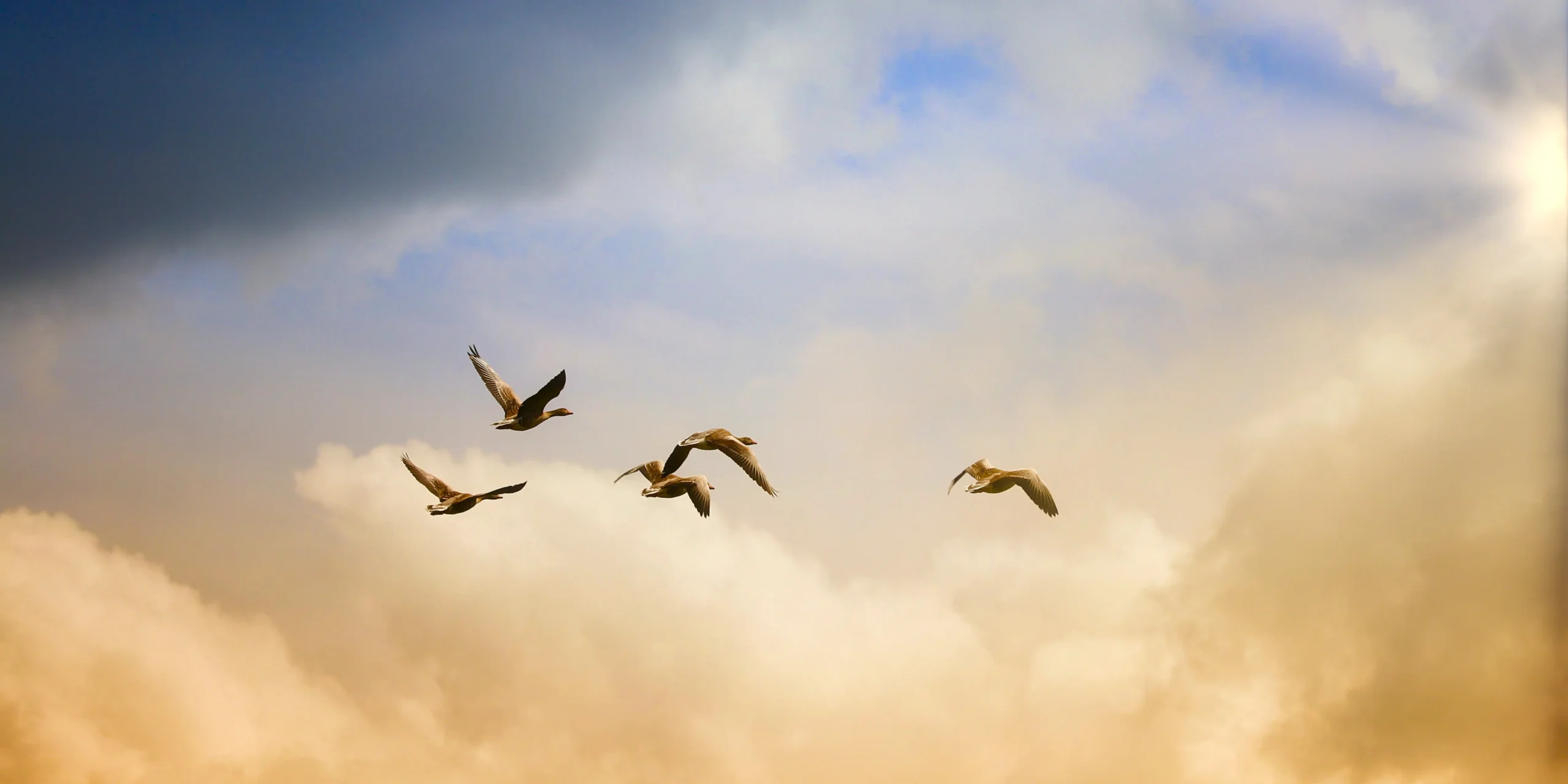 krásné hory hooponopono