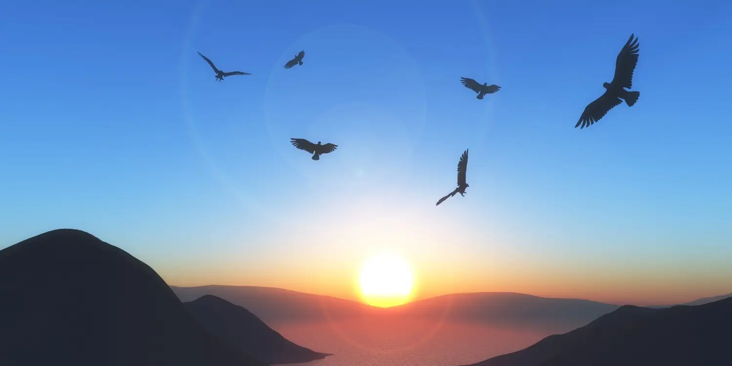 krásné hory hooponopono