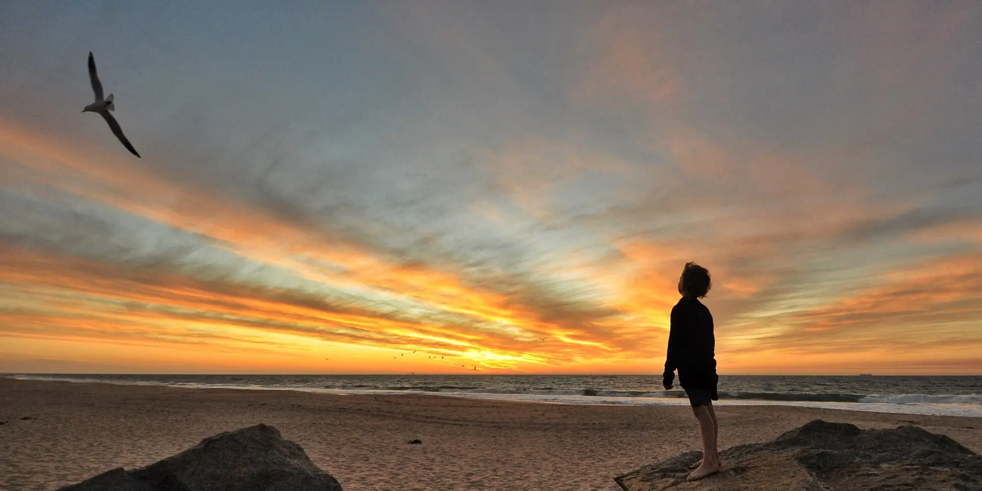 mantra odpuštění kluk sleduje letícího ptáka u moře